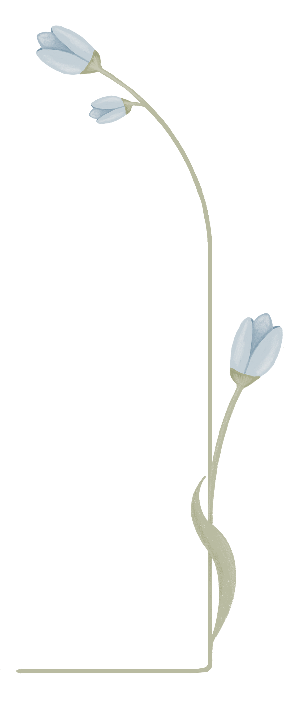 kapstokje blauwe bloemen PNG