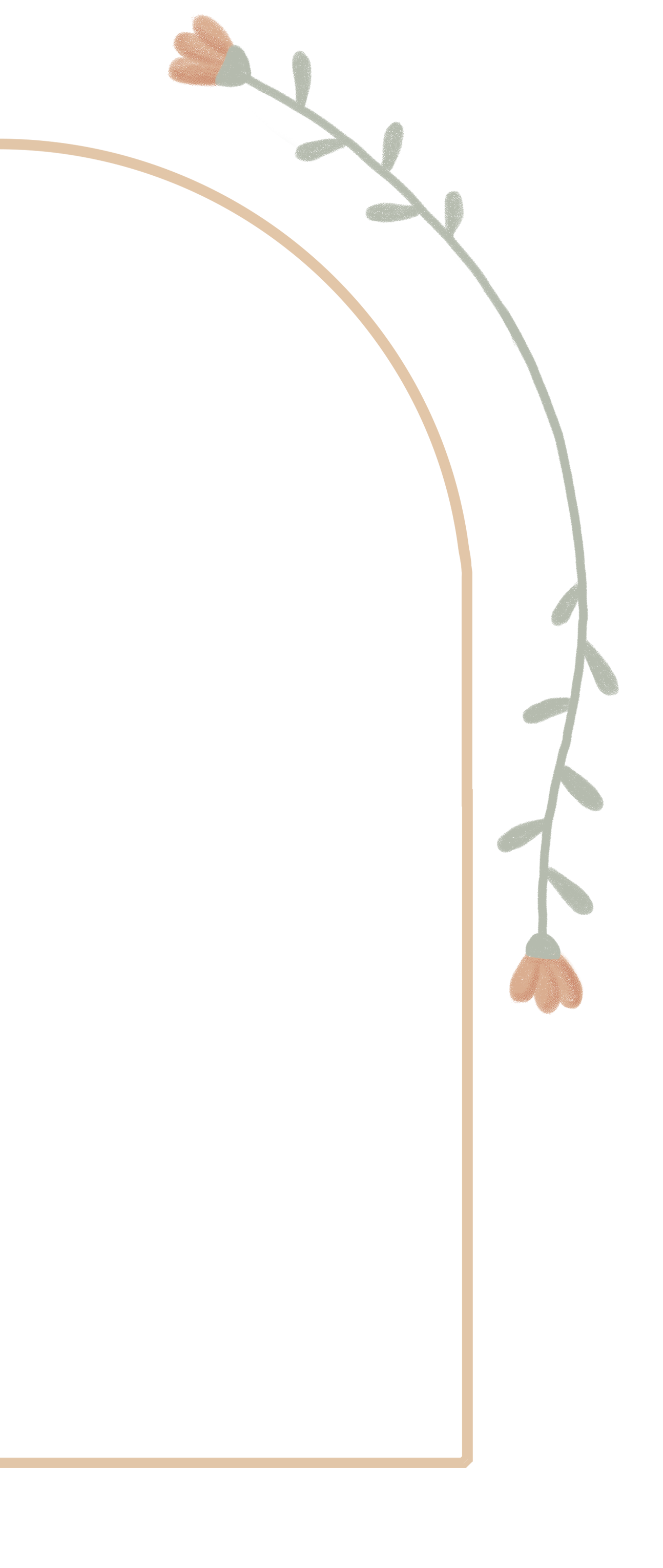 kapstokje roze rood bloemen PNG